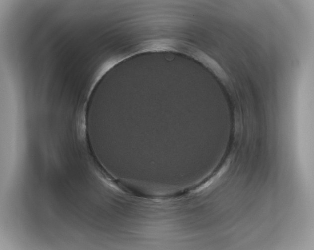X0000110731226200906121441