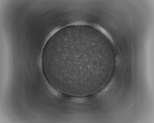 X0000110731229200906121441
