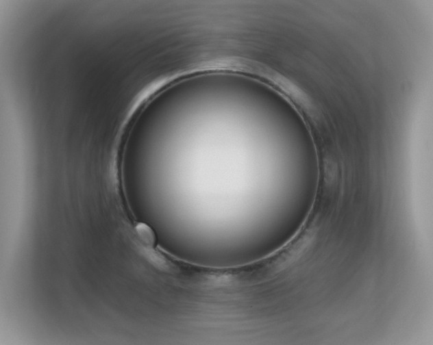 X0000110731230200906121442