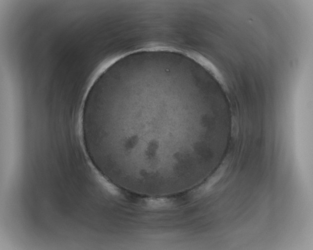 X0000110731231200906121442