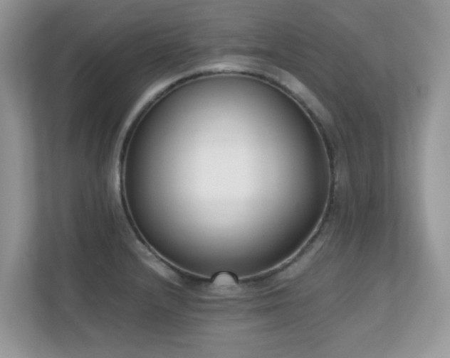 X0000110731232200906121442