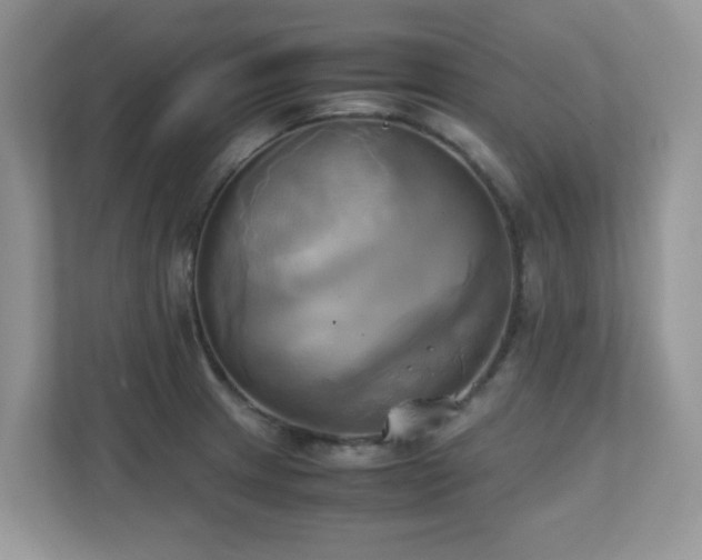 X0000110731233200906121442
