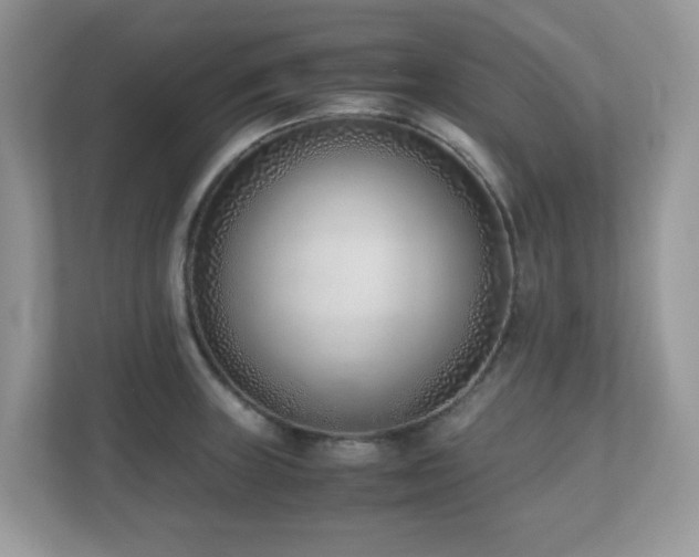 X0000110731235200906121442