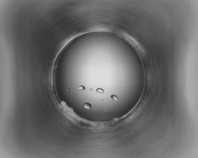 X0000110731236200906121442