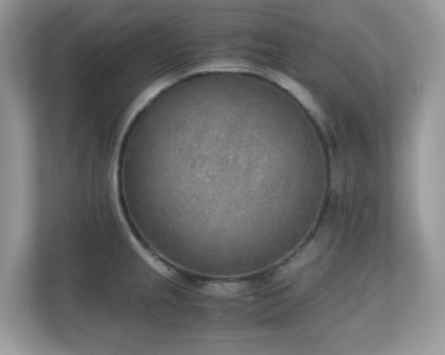 X0000110731237200906121442