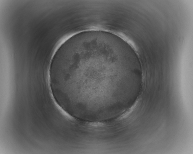 X0000110731239200906121442