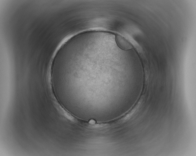 X0000110731240200906121442