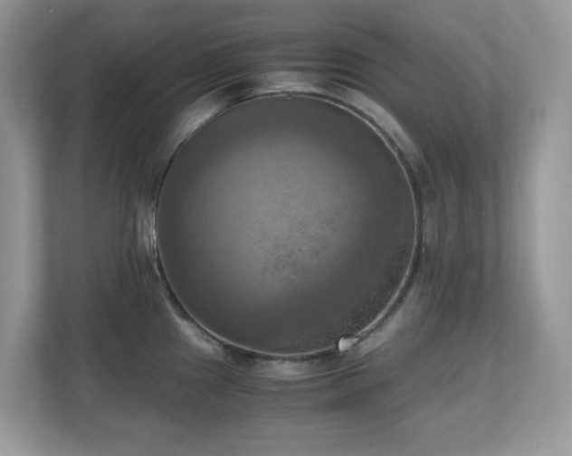 X0000110731241200906121442