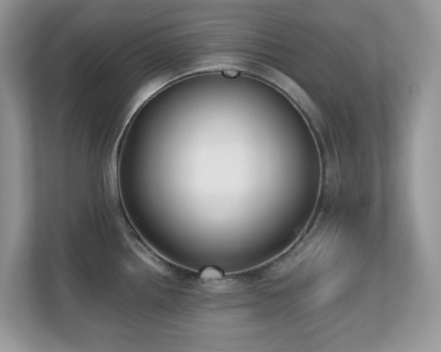 X0000110731242200906121442
