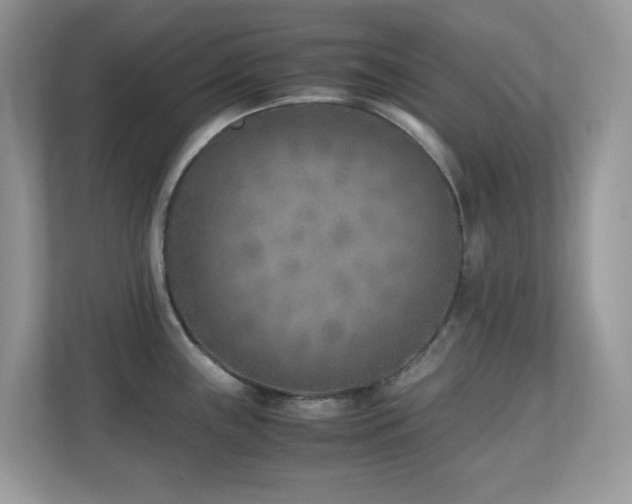 X0000110731243200906121442