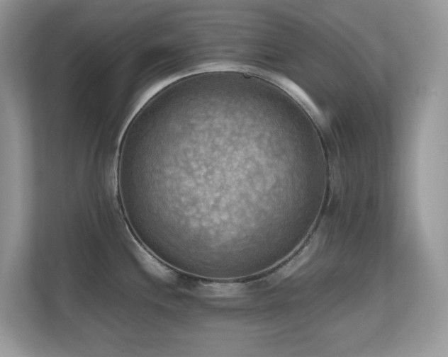 X0000110731244200906121442