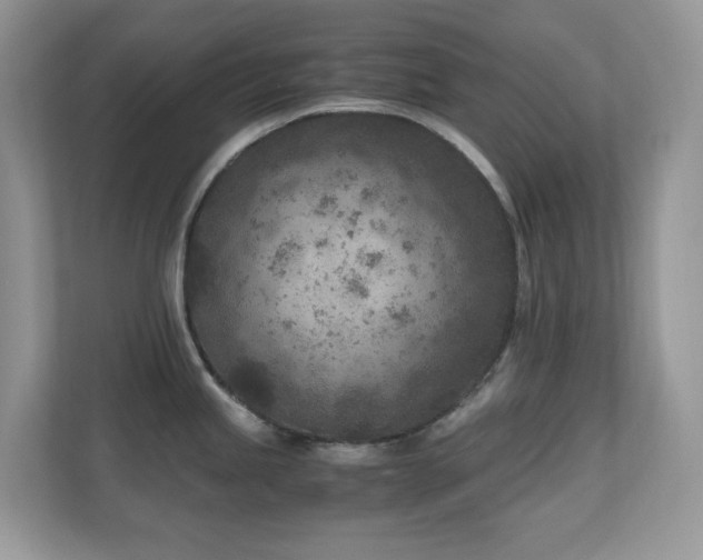 X0000110731245200906121442