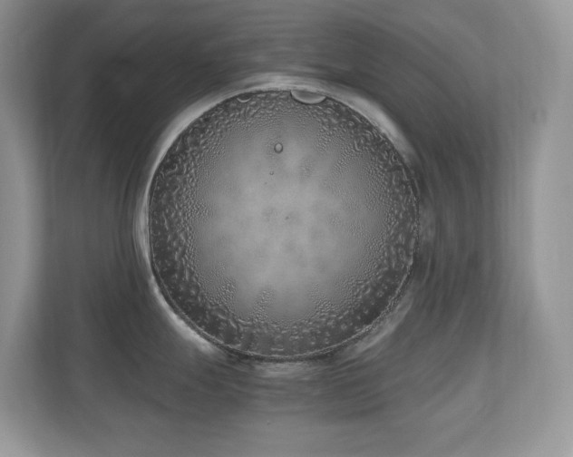 X0000110731247200906121442