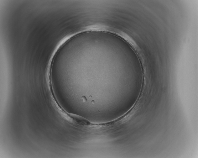 X0000110731248200906121442