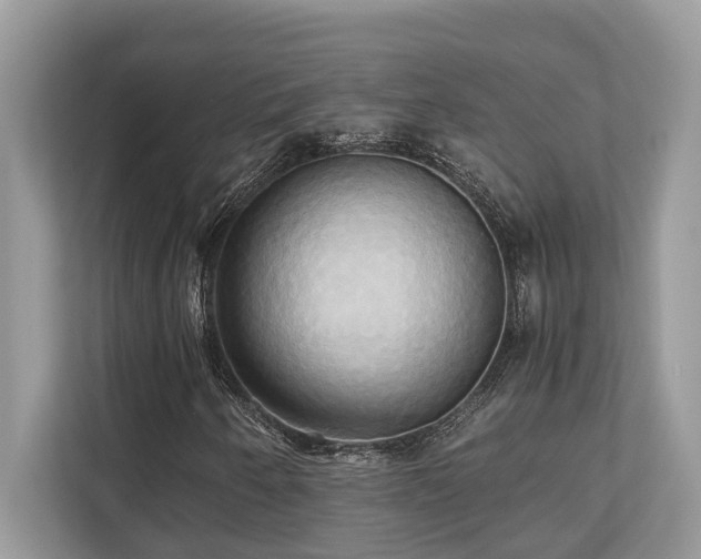 X0000110731250200906121441