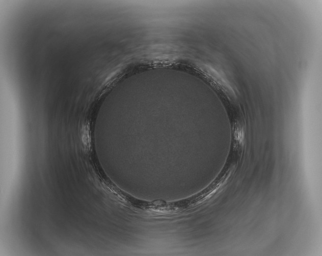 X0000110731252200906121441