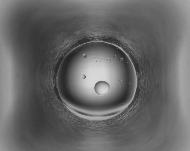 X0000110731253200906121441