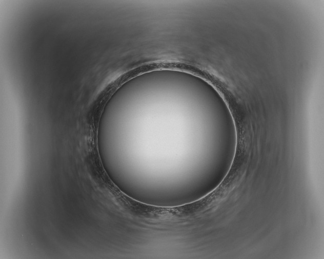 X0000110731255200906121441