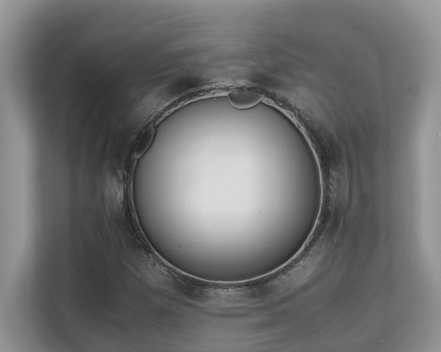 X0000110731257200906121441