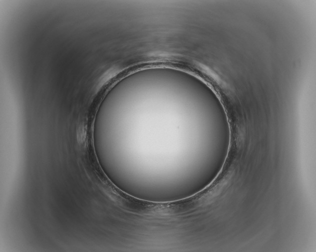 X0000110731259200906121441