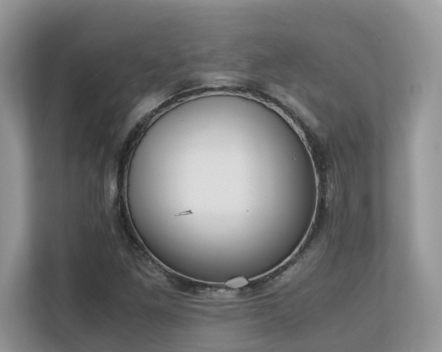 X0000110731261200906121441