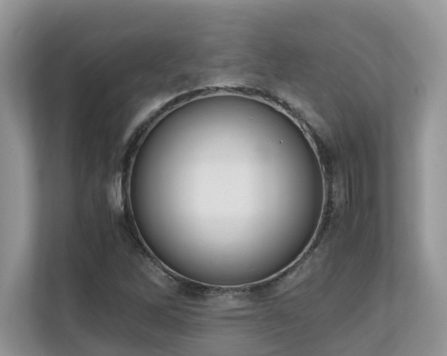 X0000110731262200906121441