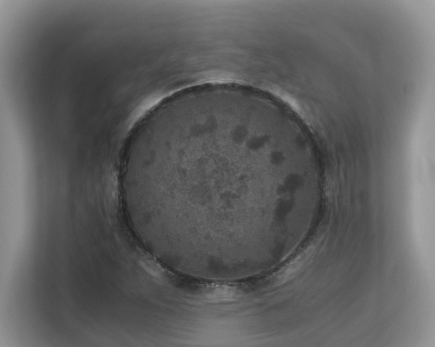 X0000110731263200906121441
