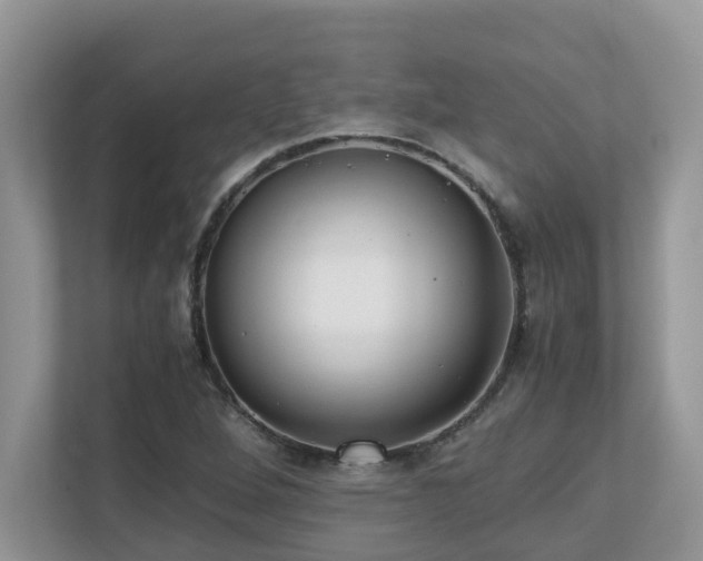 X0000110731264200906121441