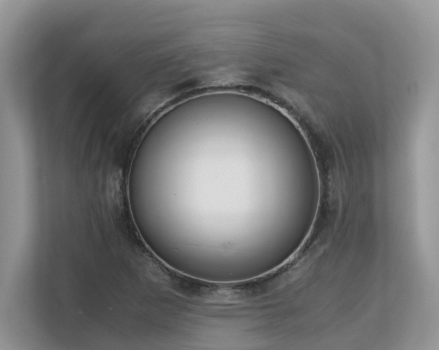 X0000110731265200906121441