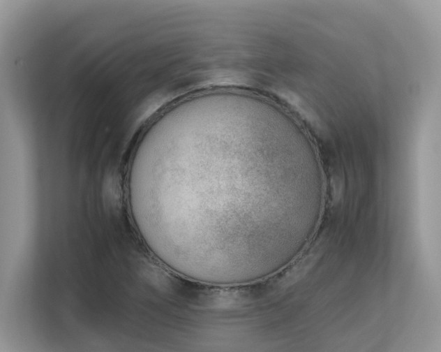 X0000110731266200906121441