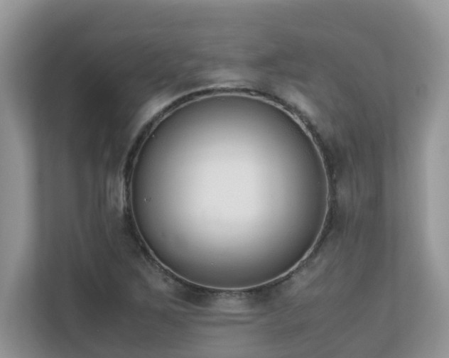 X0000110731267200906121441