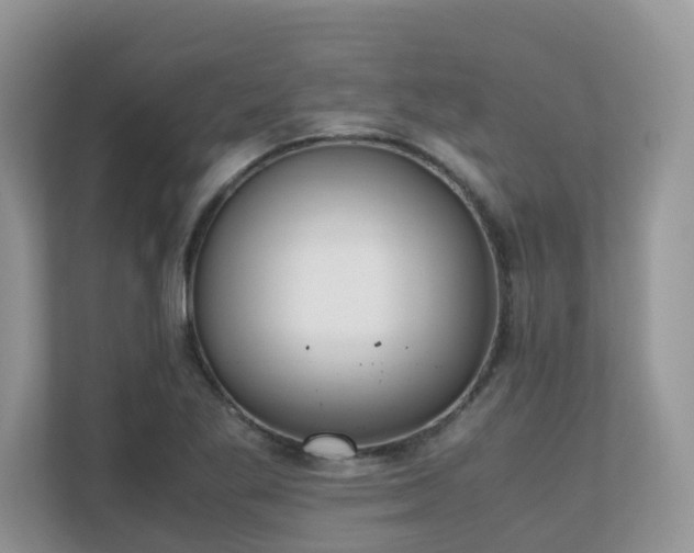 X0000110731269200906121441