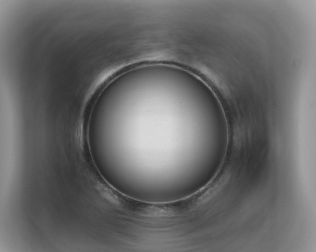 X0000110731270200906121441