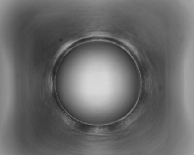 X0000110731271200906121441