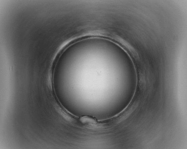 X0000110731272200906121441