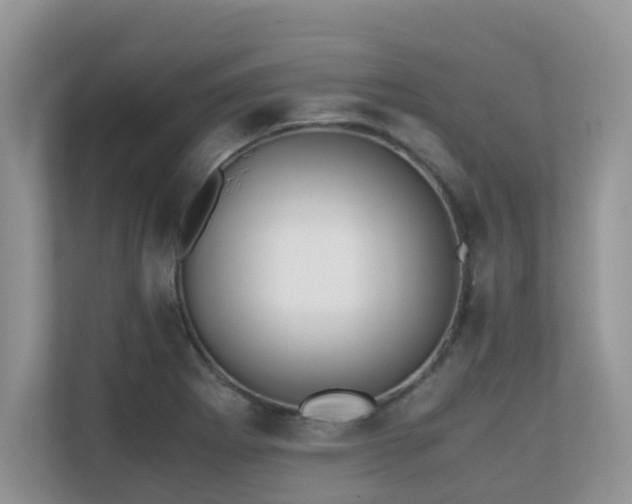 X0000110731273200906121441