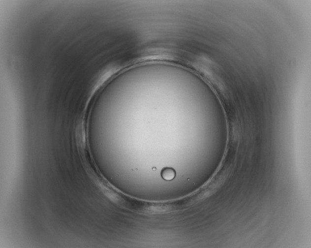 X0000110731274200906121441