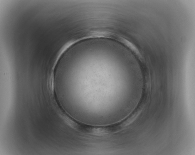 X0000110731275200906121441