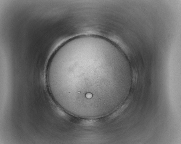 X0000110731278200906121441