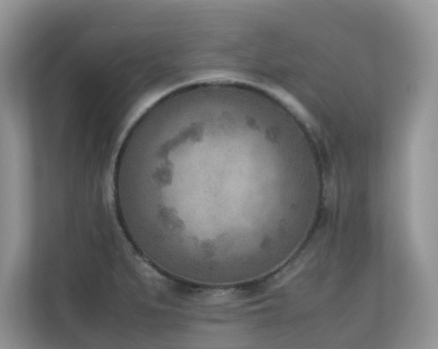 X0000110731279200906121441