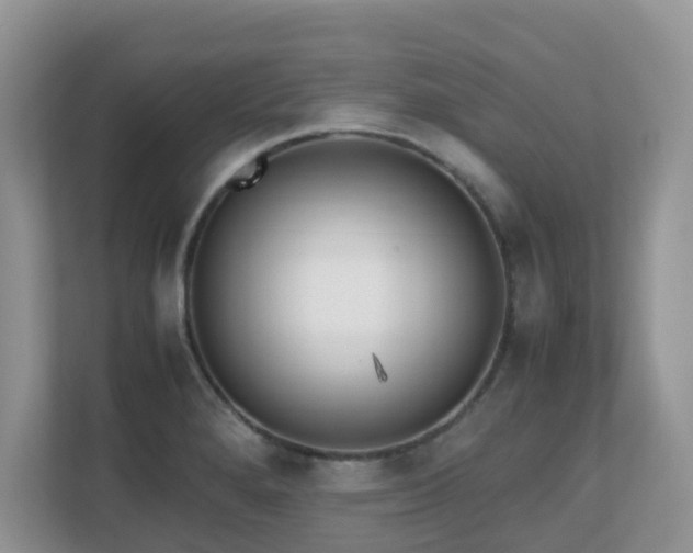 X0000110731280200906121441