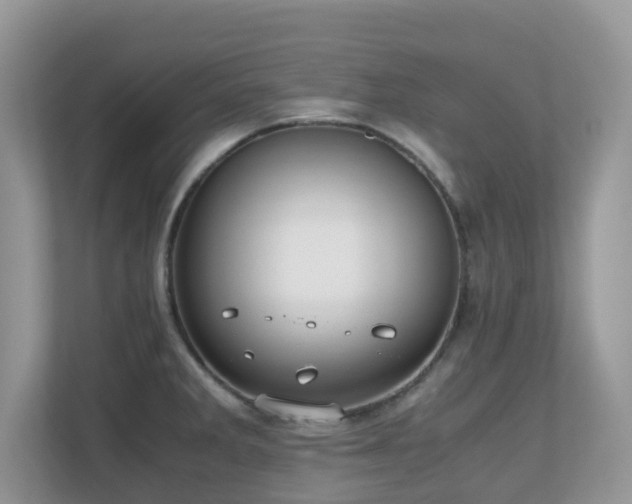 X0000110731285200906121441