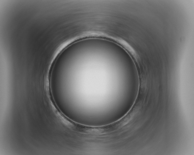 X0000110731287200906121441