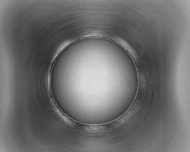 X0000110731290200906121441