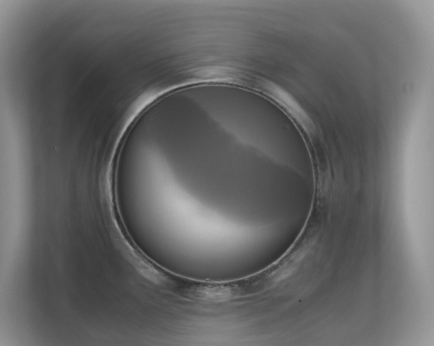 X0000110731291200906121441