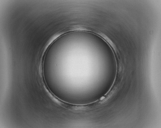 X0000110731293200906121441