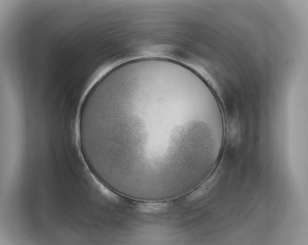 X0000110731294200906121441