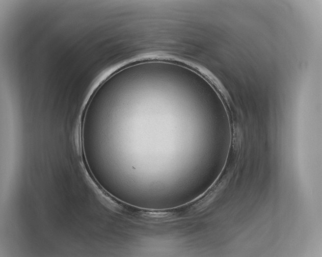 X0000110731295200906121441