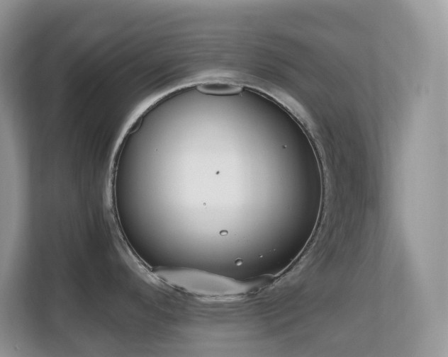 X0000110731296200906121440