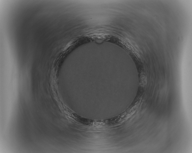X0000110731297200906121440